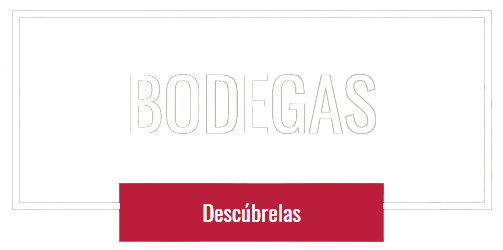 Imagen en Hover
