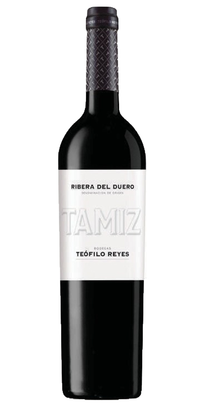 Teófilo Ryes Tamiz